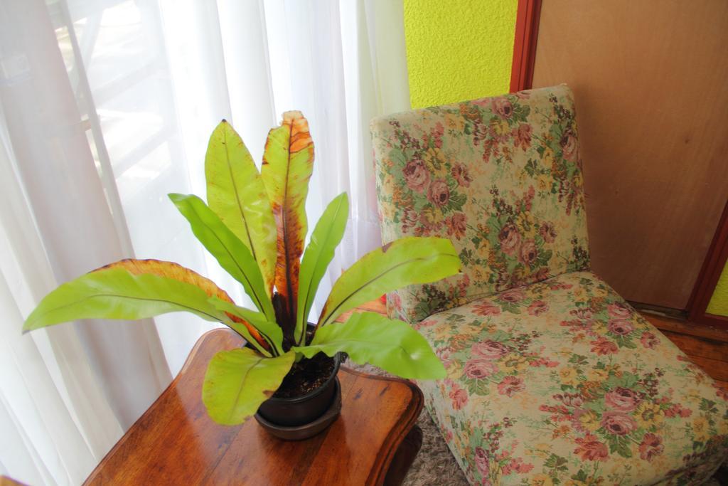 Hostal Benavente Пуерто Монт Екстериор снимка